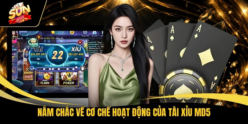 Nắm chắc về cơ chế hoạt động của tài xỉu MD5